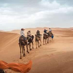 Φωτογραφία στη Σαχάρα με καμήλες