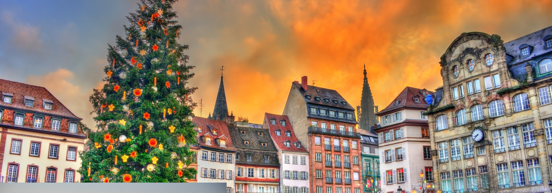 &nbsp;